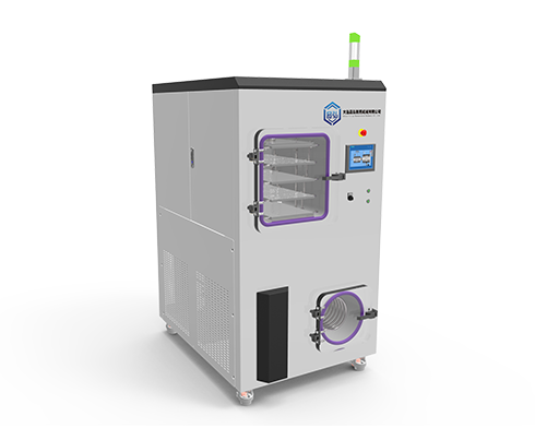 Freeze drying machine: a new weapon for deciphering dried goods